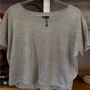 Express Women's Short Sleeve sheer metallic layering top